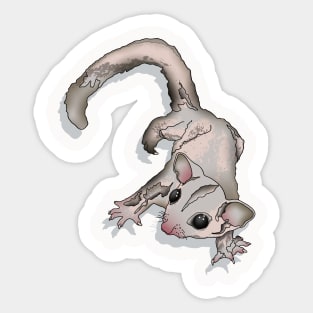 Climbing Sugar Glider Sticker